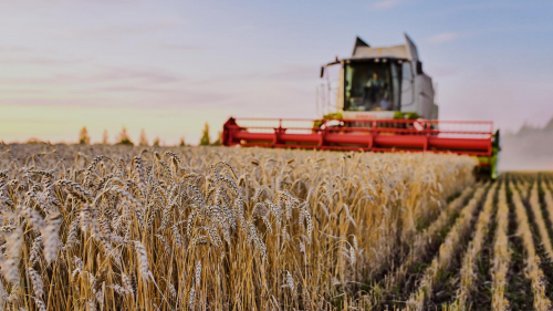 Спрос на российское зерно растет