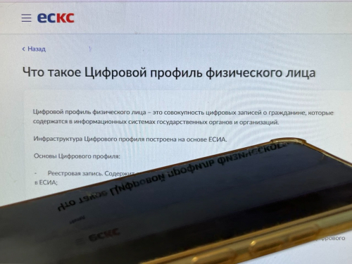 проверка заемщиков через цифровой профиль